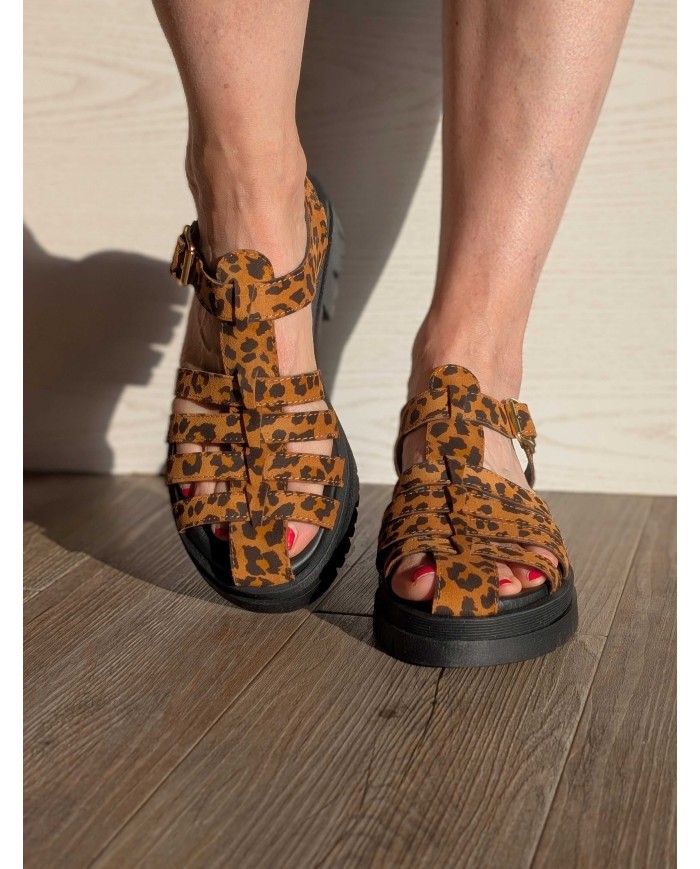 Meduse léopard 1706