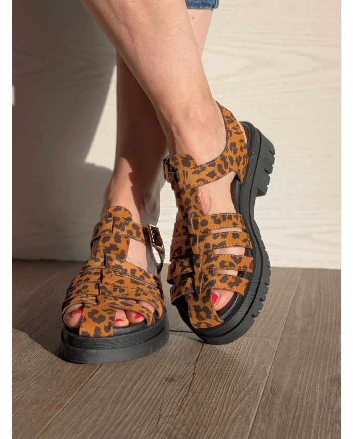 Meduse léopard 1706