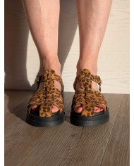 Meduse léopard 1706