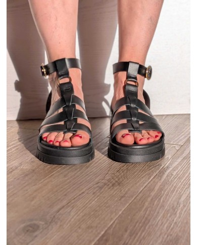 Meduse 1667 Meduse 1667