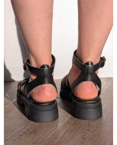 Meduse 1667 Meduse 1667