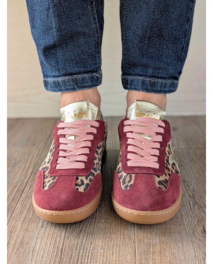 R 526 merlot R 526 merlot