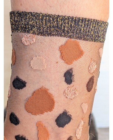 Lac givré brune Lac givré brune