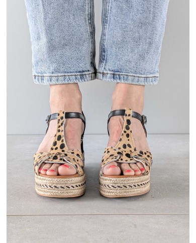 Pony drom ball negro