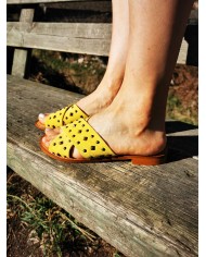 Pistoia jaune Pistoia jaune