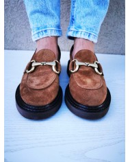 Camoscio fox Camoscio fox