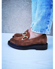 Camoscio fox Camoscio fox